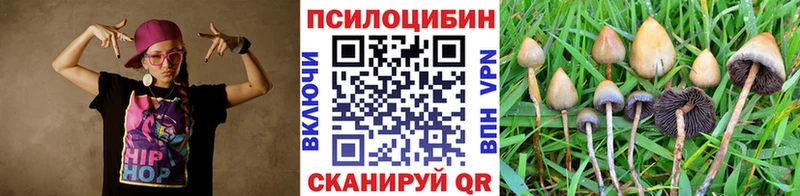 сколько стоит  Усолье-Сибирское  Псилоцибиновые грибы Psilocybine cubensis 